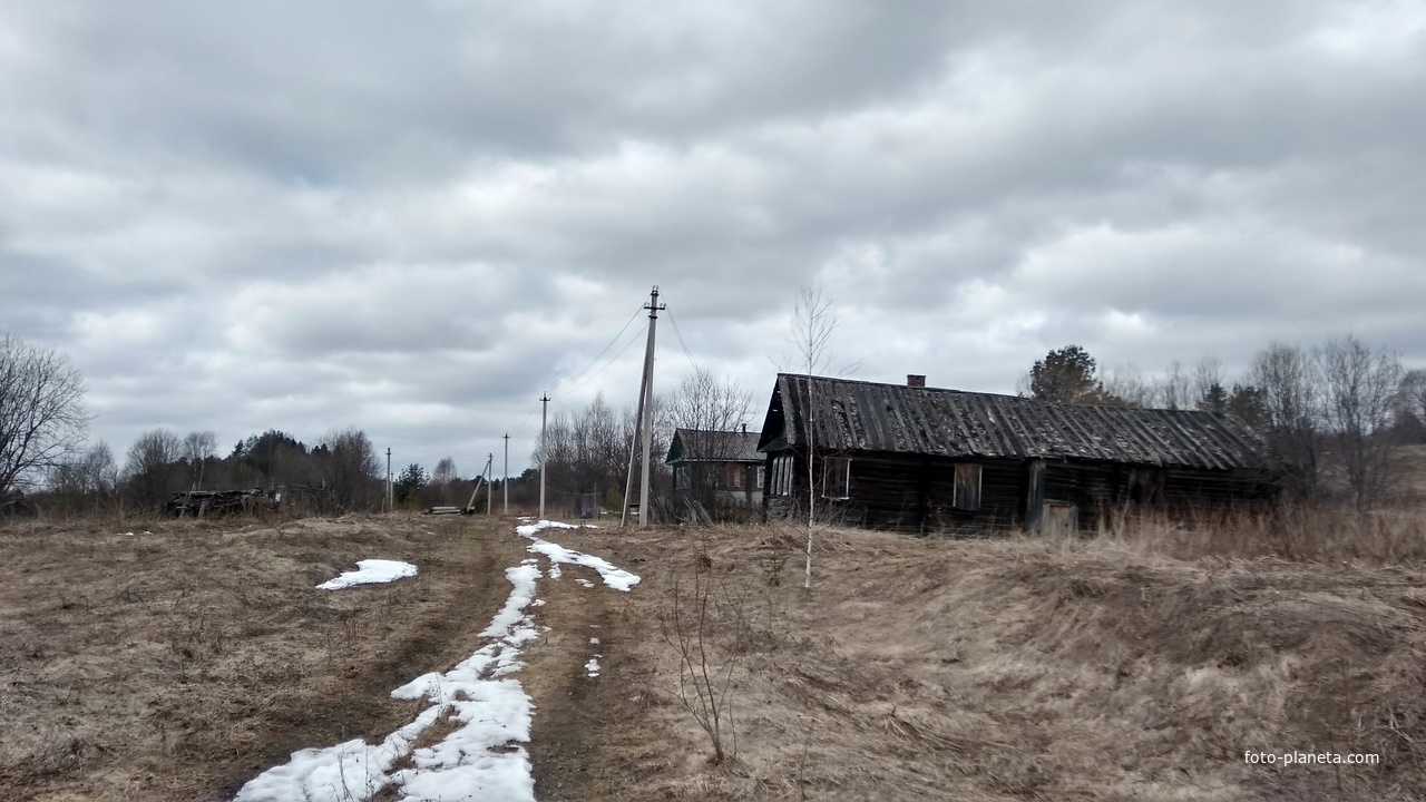 улица в заброшенной д. Васютино