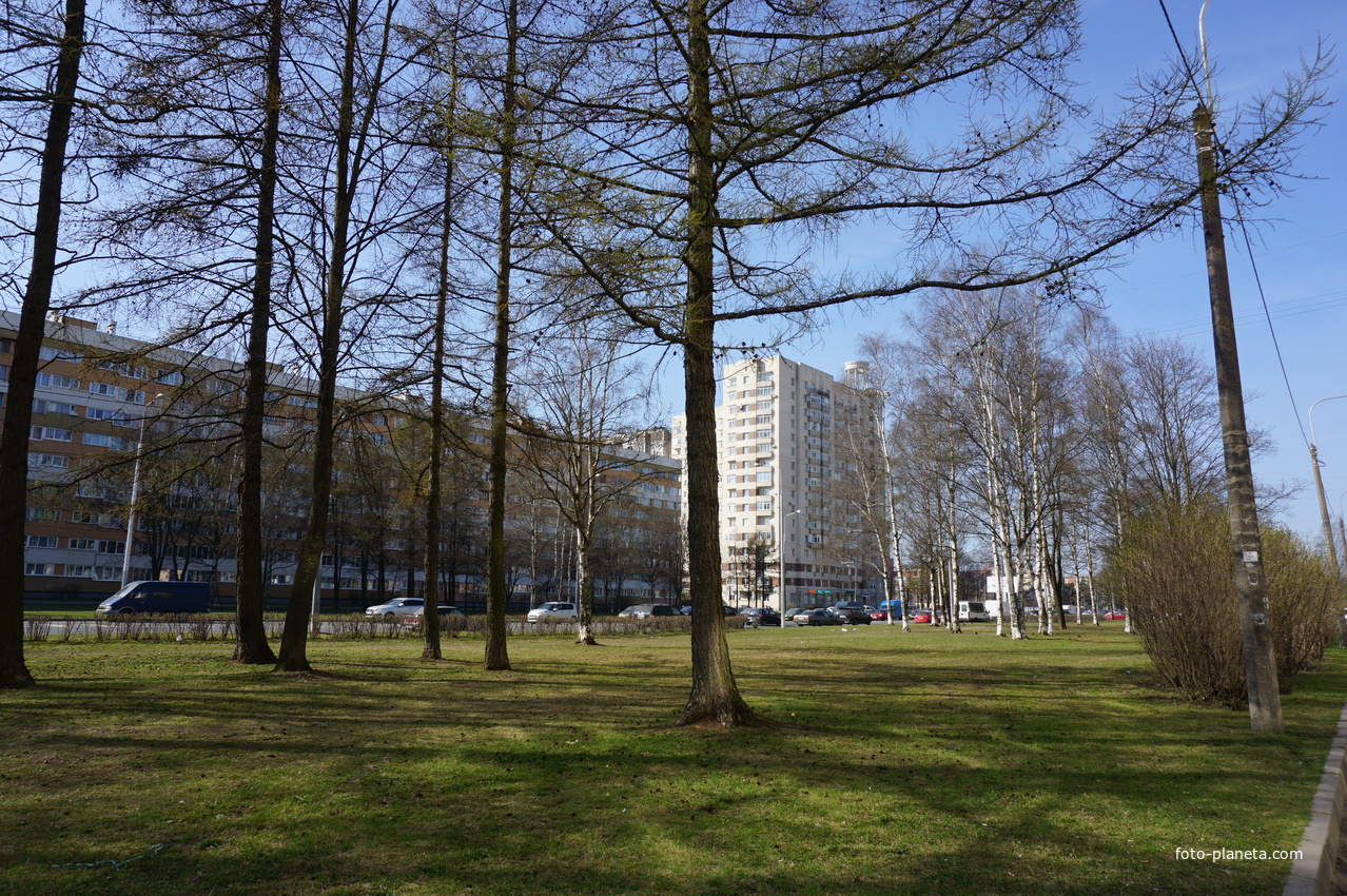 Проспект Ветеранов.