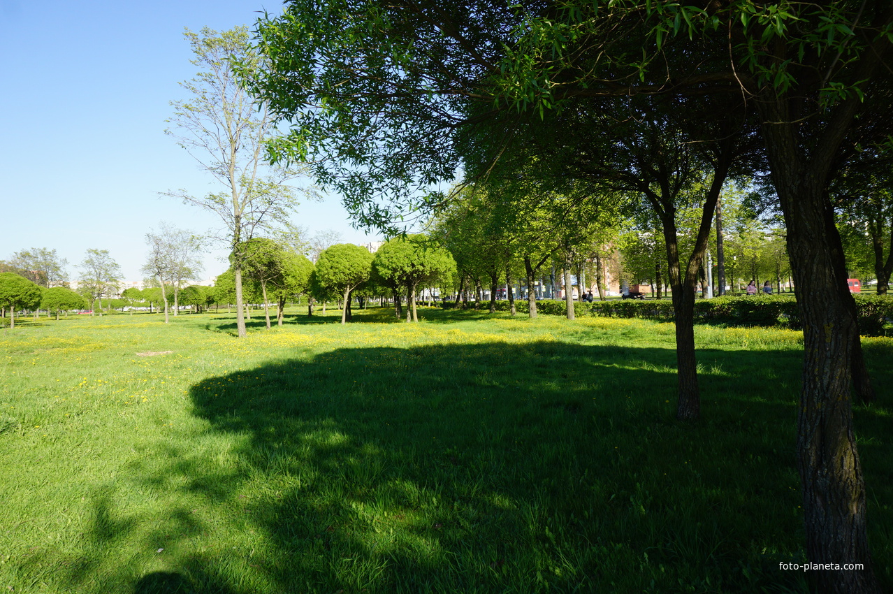 Территория Полежаевского парка.