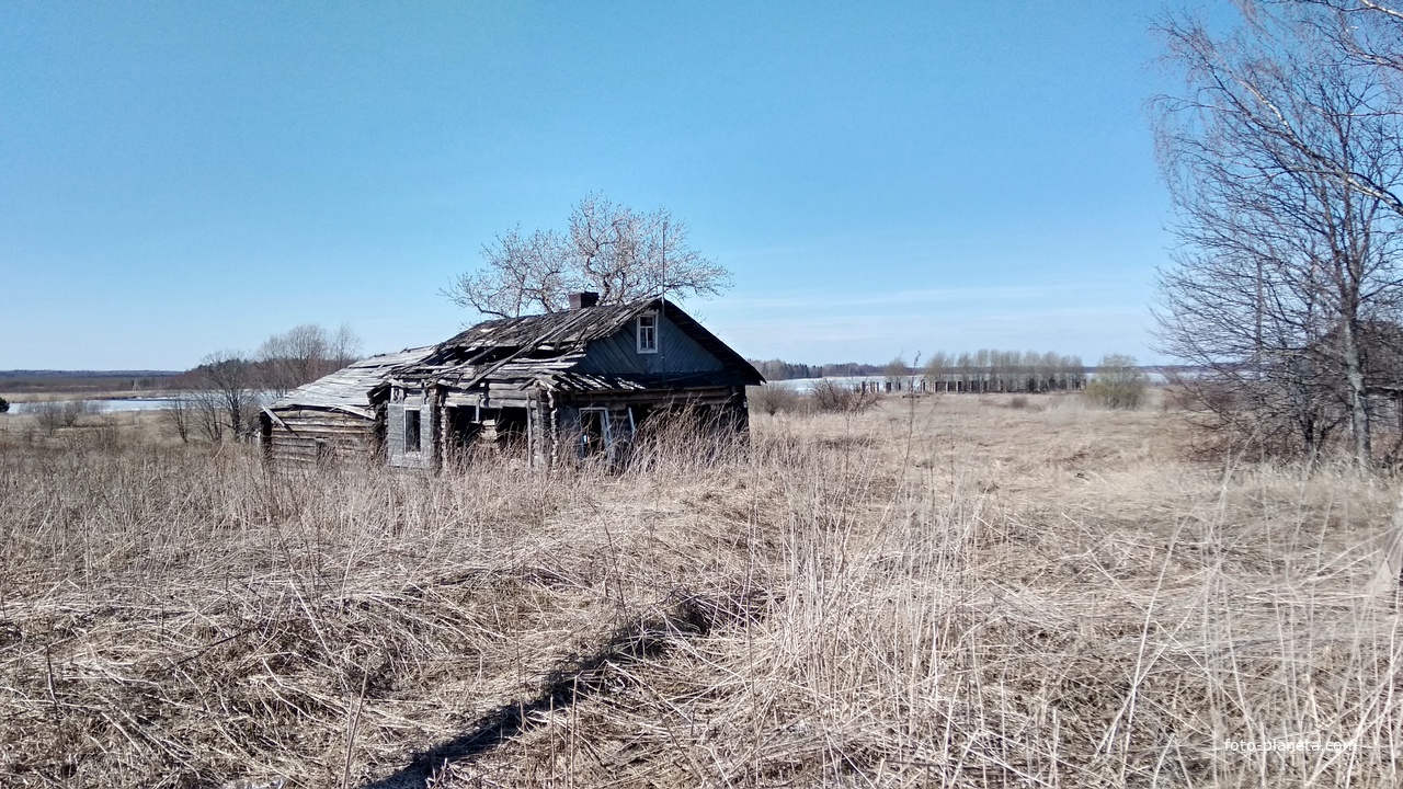 Разрушенный дом в д. Борково