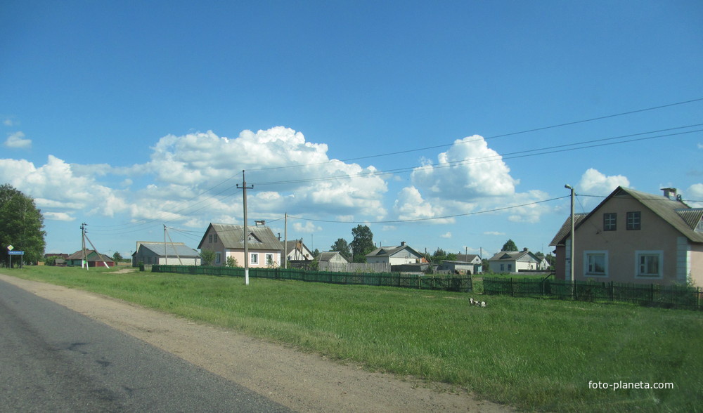 Дома деревни Ольшаники-2