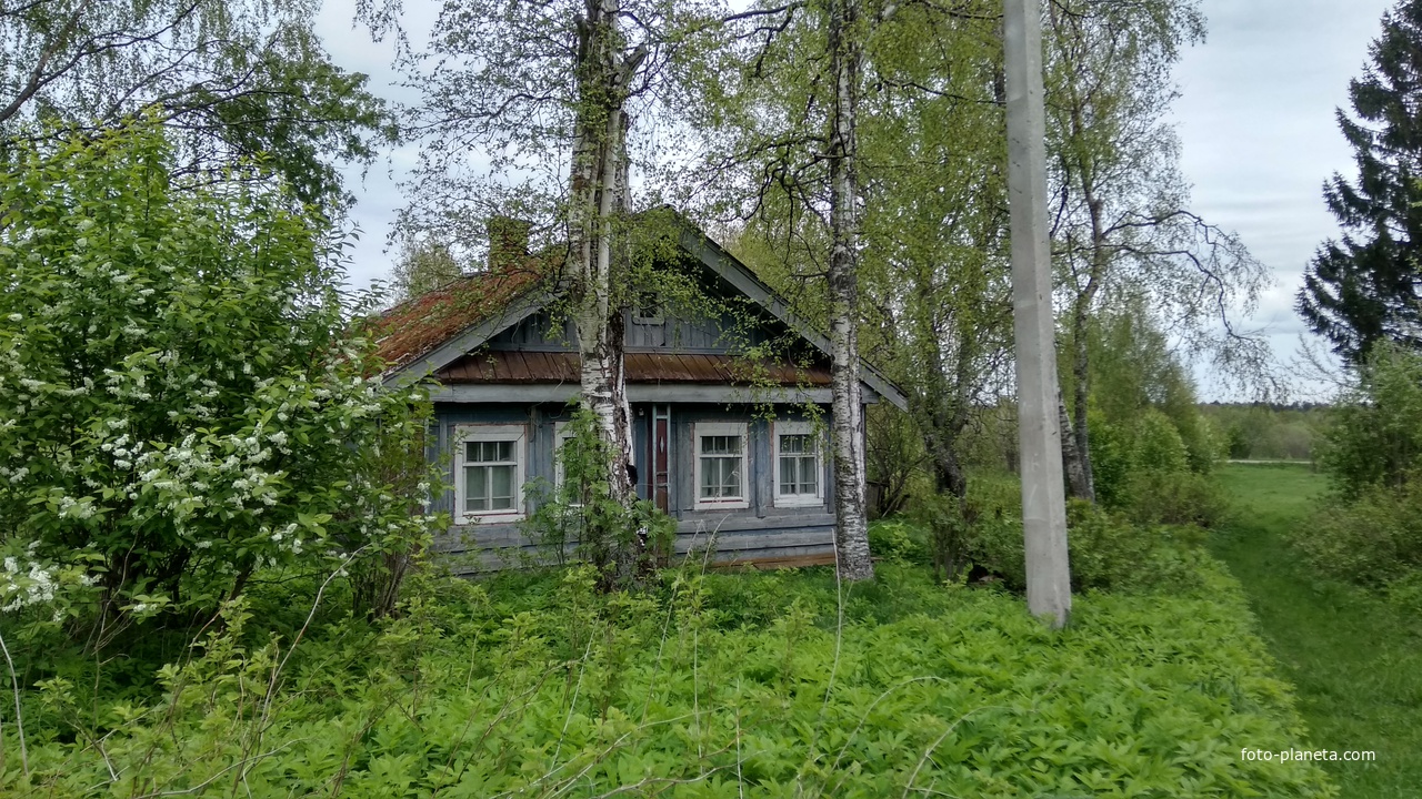 заброшенный дом в д. Ольково