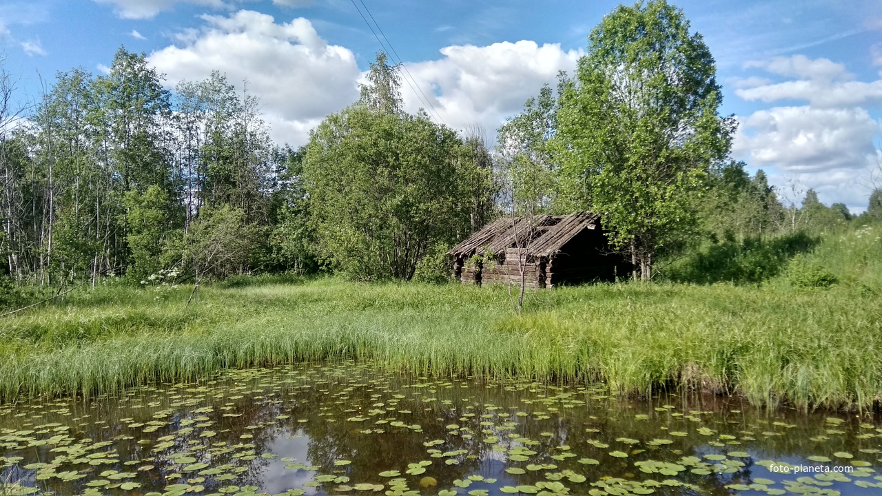 ручей в д. Ивановская