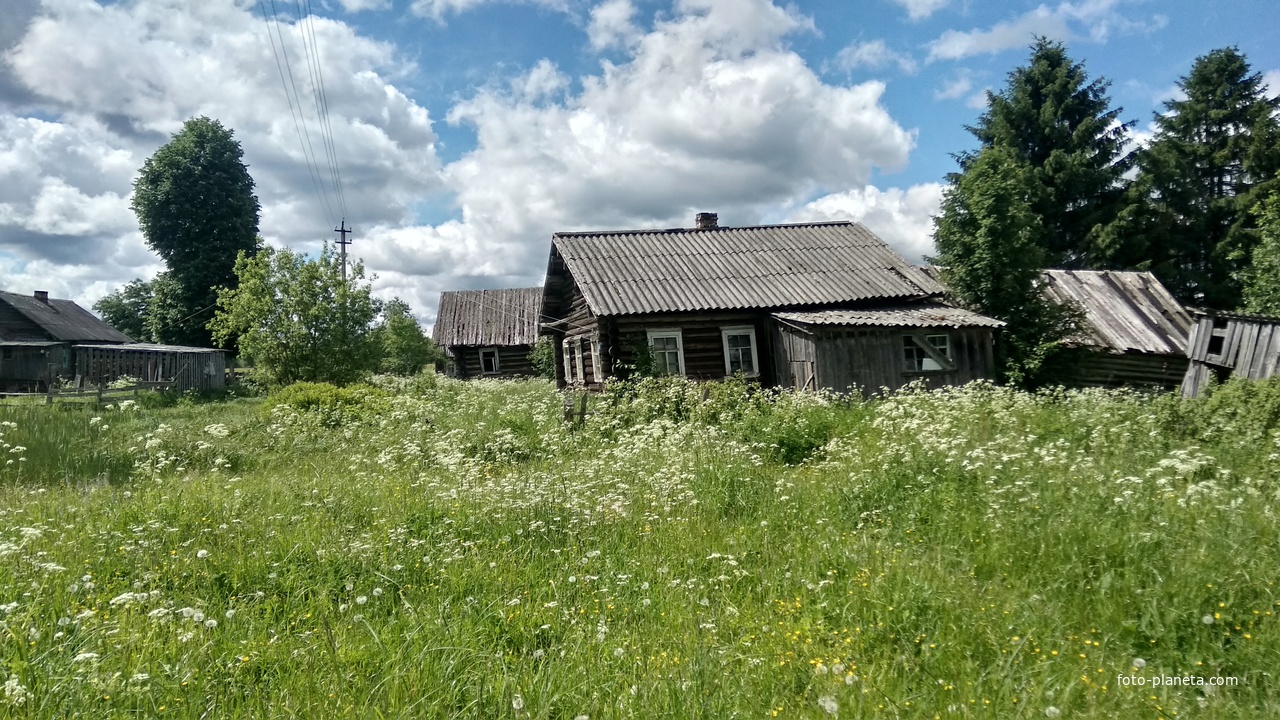 вид на д. Карповская