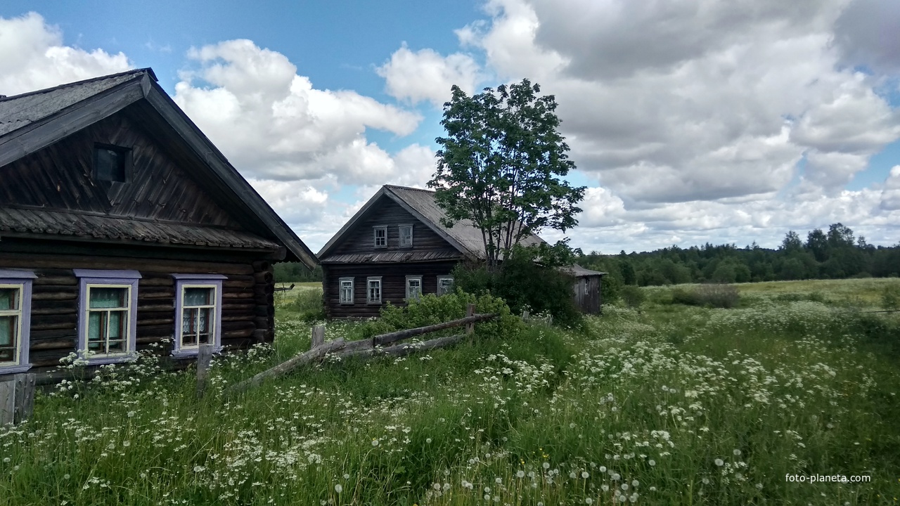 заброшенный дом в д. Карповская