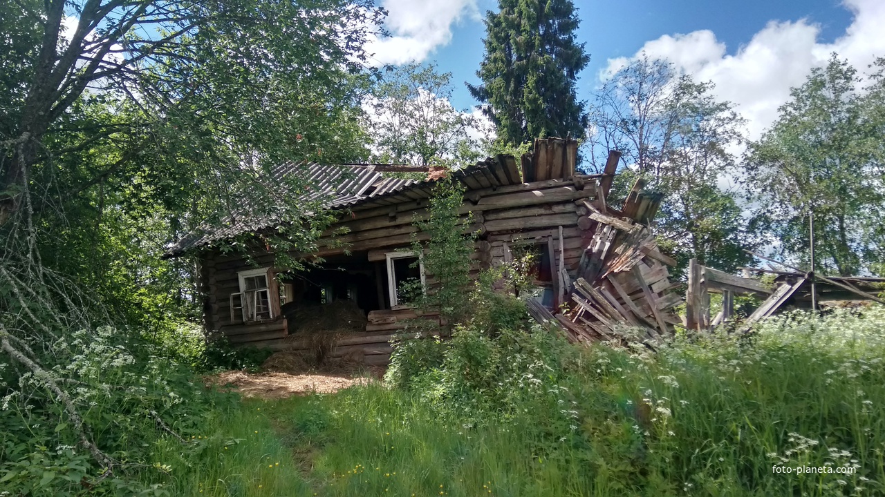 разрушенный дом д. Кузьминка