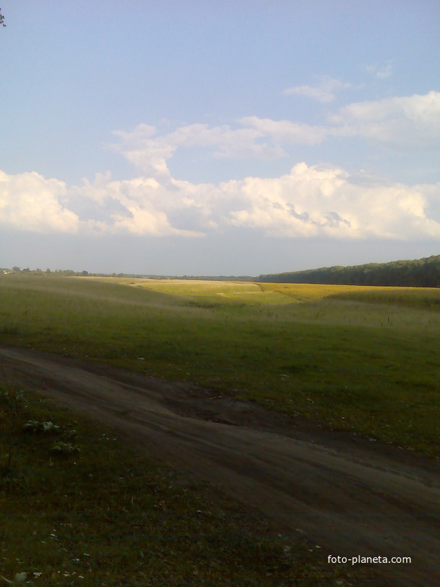 просторы сигаевских полей