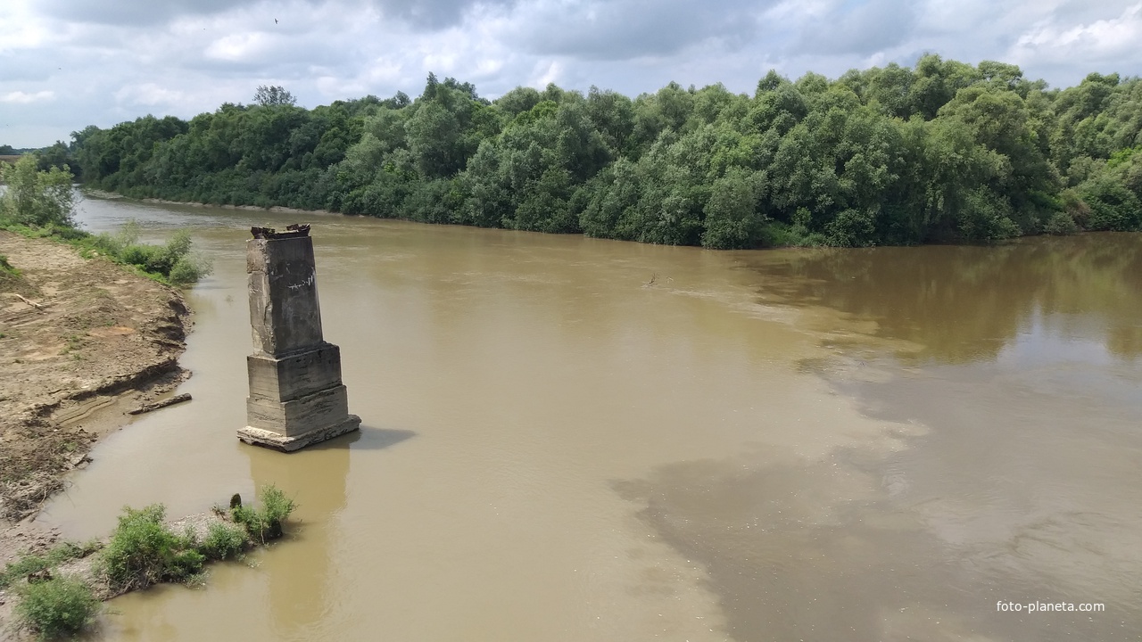 Впадіння ріки Стрий у ріку Дністер