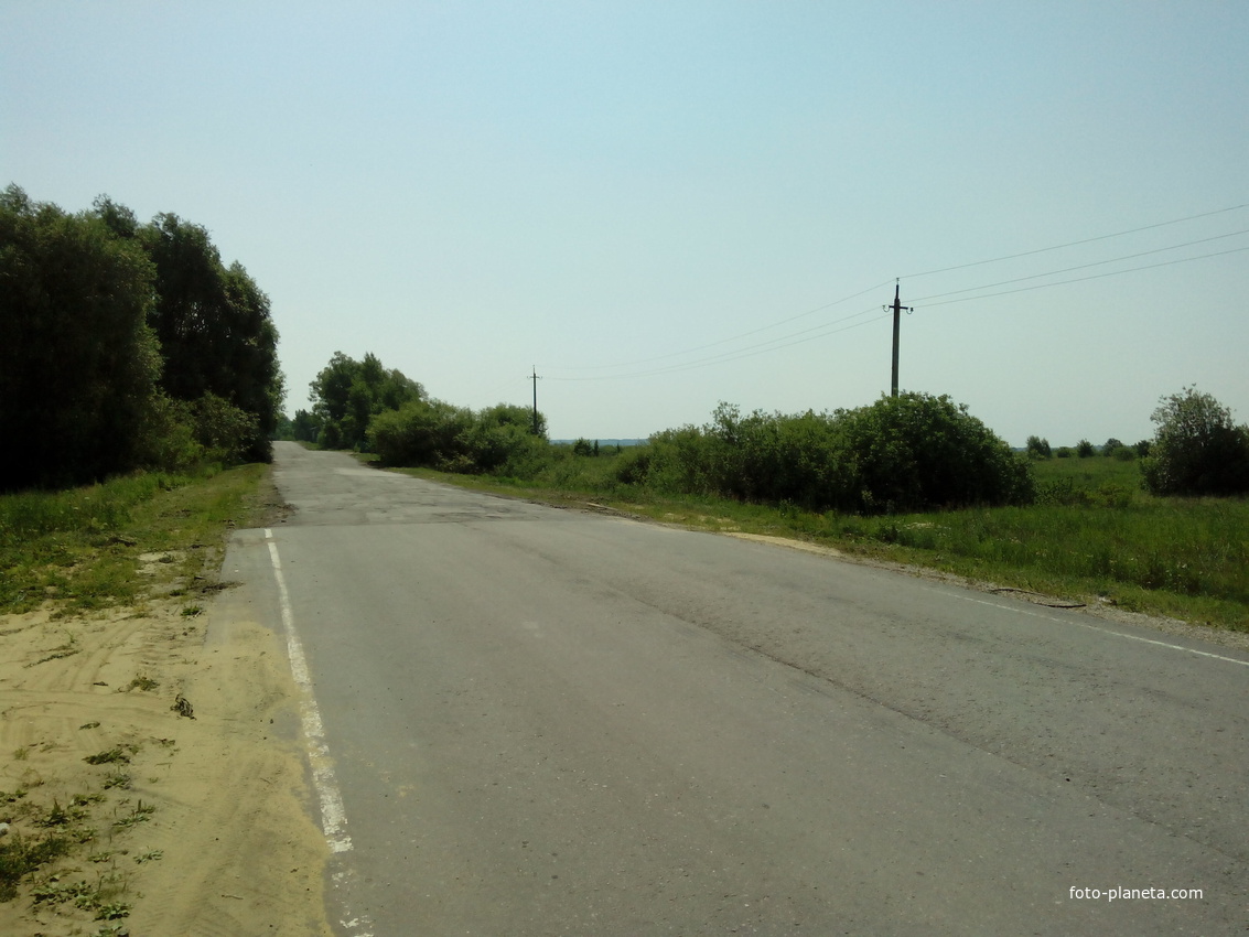 Дорога в село Терехово