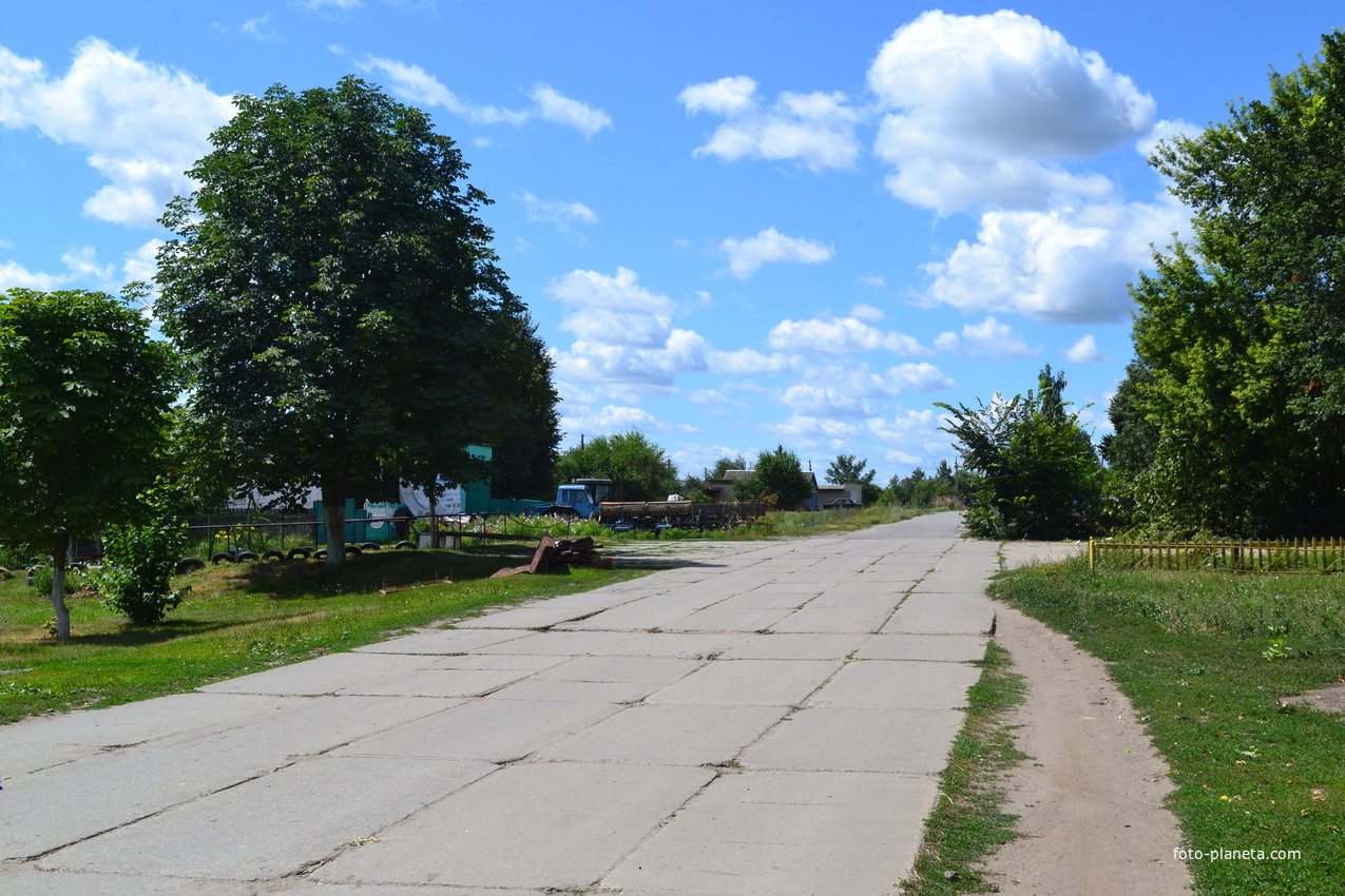 Улица в деревне Черкасской