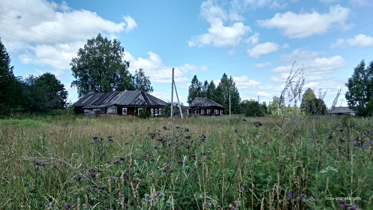 панорама улицы в д. Мишутино