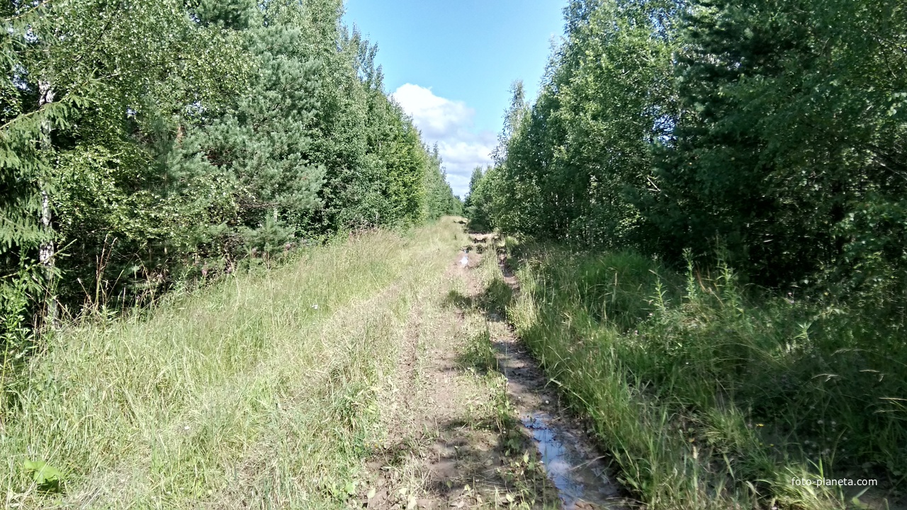 насыпная дорога между д. Слудки и д. Дыроватово