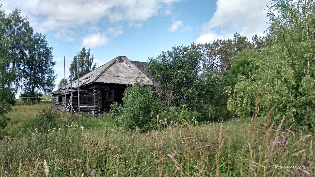 брошенный дом в д. Левино