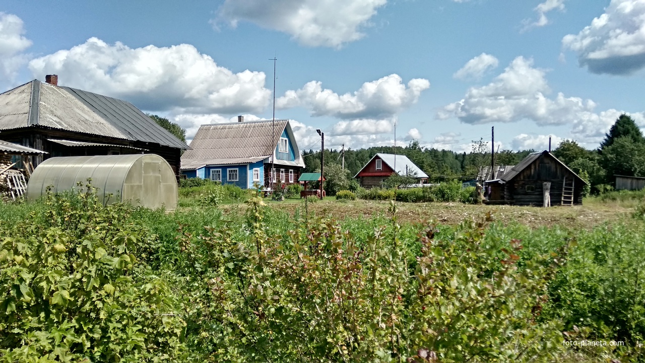 Дом В Вологодской Области Купить Грязовецкий
