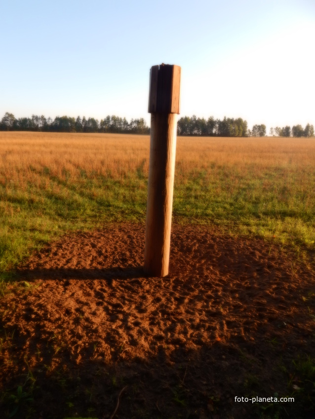 Столб, у которого лесные олени лакомятся солью