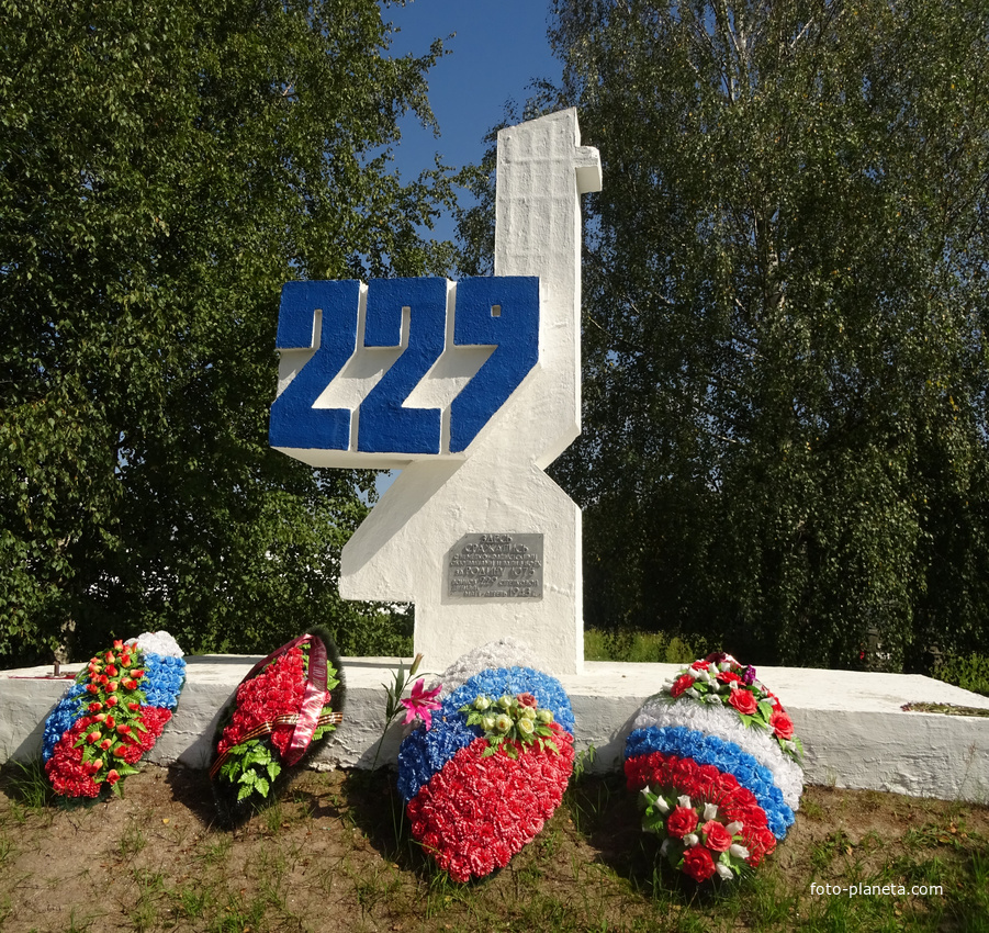 Мемориал воинам 229-й стрелковой дивизии