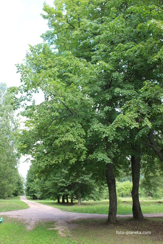 Музей-усадьба М.И. Глинки.