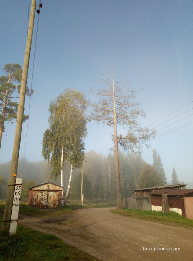 Грибной туман в посёлке.