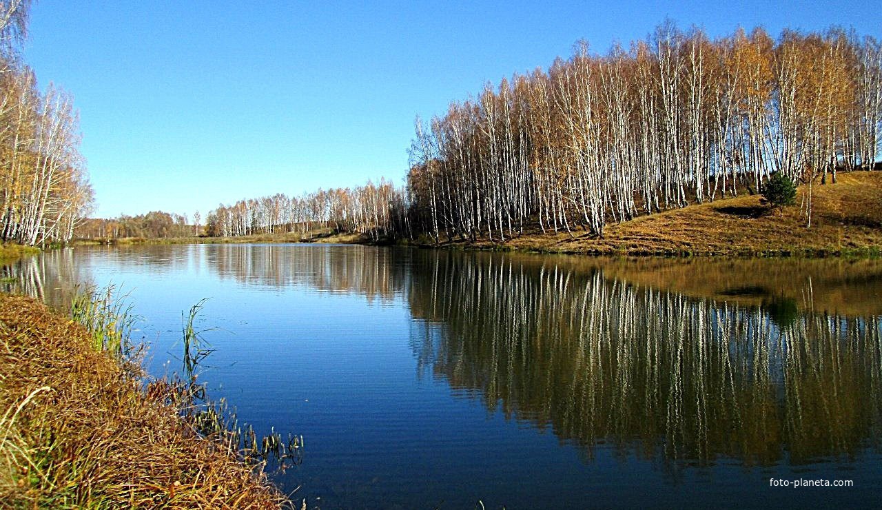 Пруд на речке Ориновка