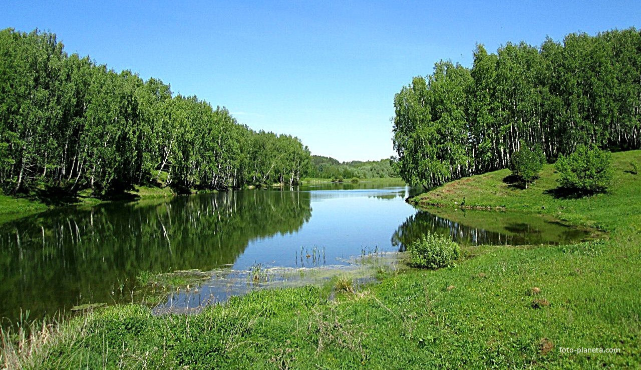 Вид на пруд,речке Ориновка