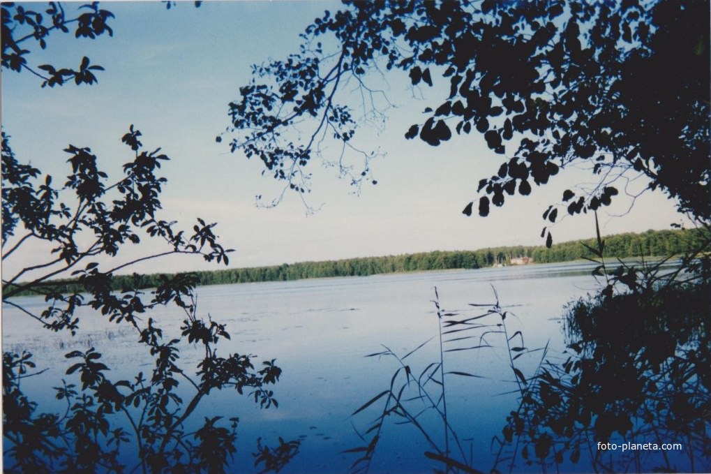 Озеро Воймежное (3 км западнее поселка Черусти) Август 1997г.