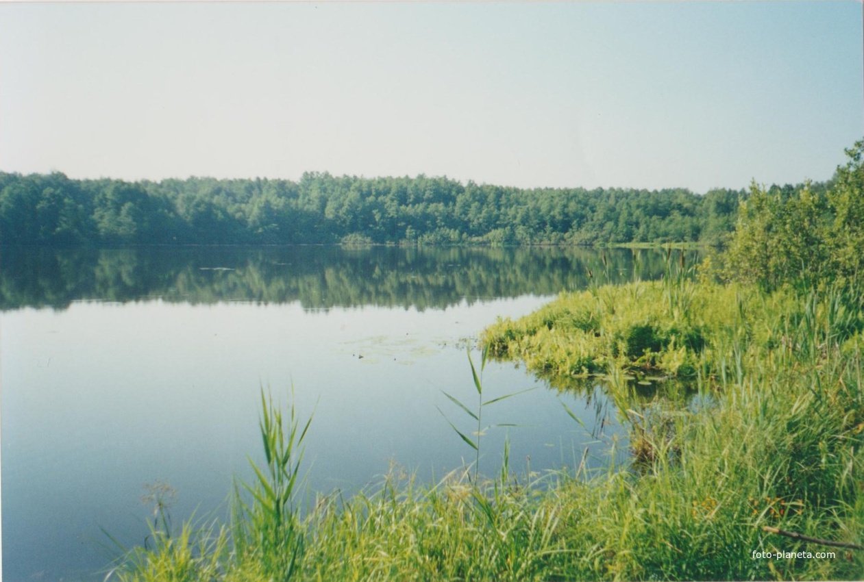 Озеро Озерецкое (0,5 км  южнее г. Рошаль) 19. VII. 2001г.