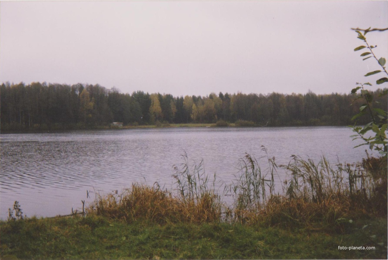 Озеро Озерецкое (0,5 км  южнее г. Рошаль) в октябре 1998г.