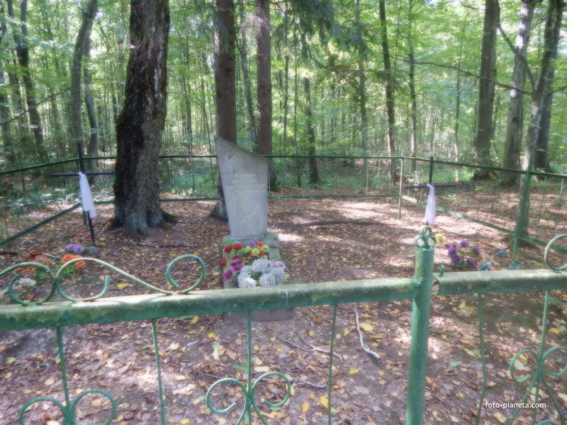 Братская могила мирных жителей, расстреляных гитлеровцами в 1943г. (у въезда в деревню)