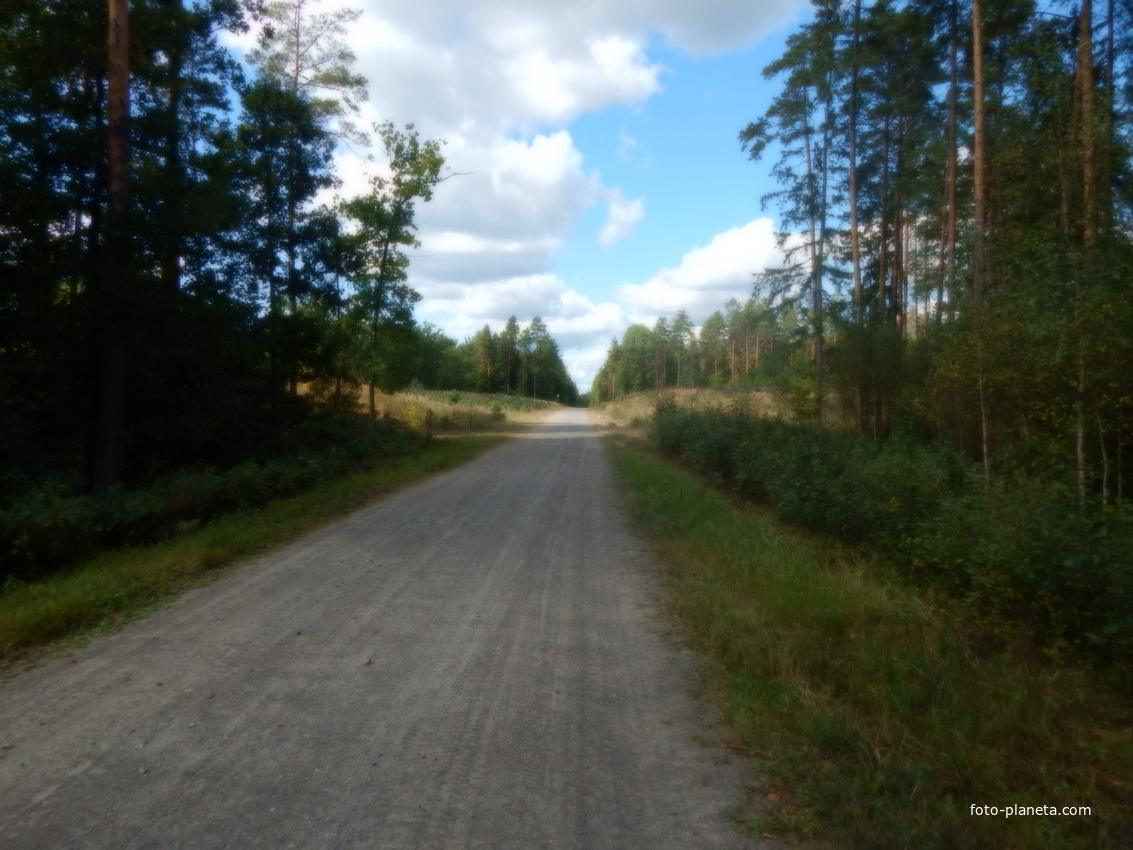 Песчано-гравийная лесная дорога на Олу