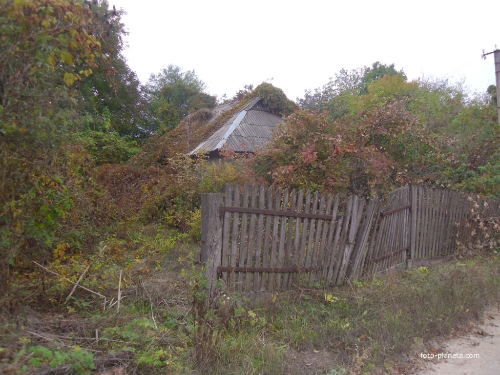 Исчезающее село Вдовичино .