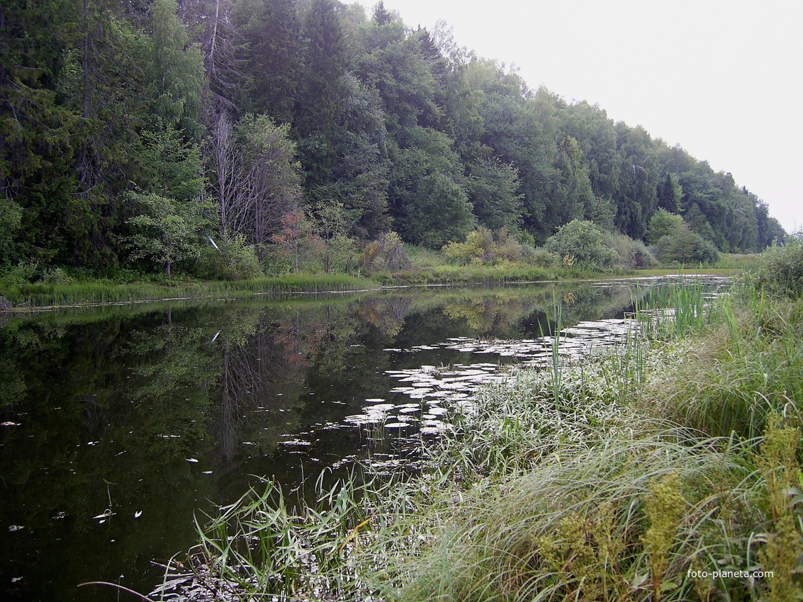 Русениха - Озеро у деревни
