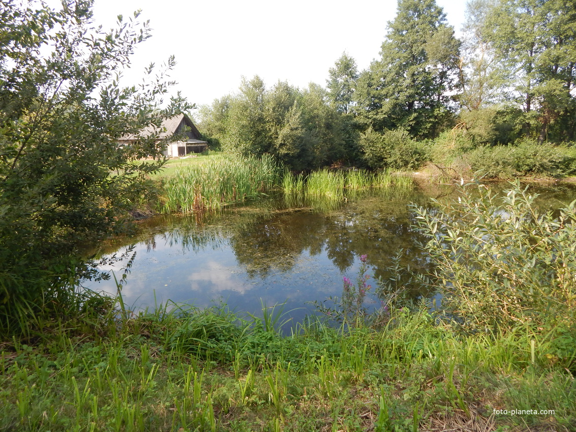 В огороде одного деревенского дома есть естественный пруд