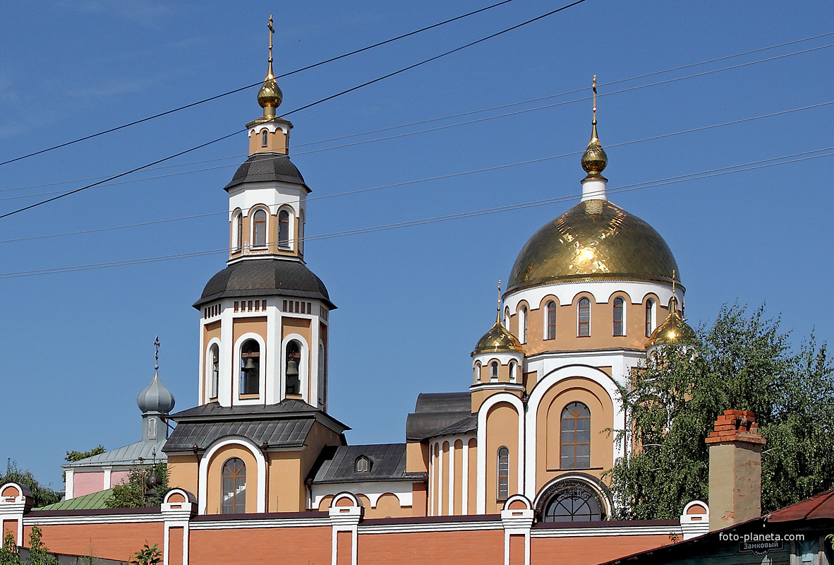 Купола  Алексиевского монастыря