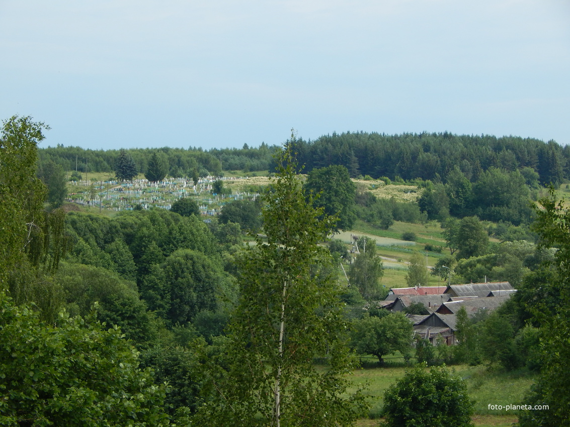 Вид с Юрьевой горы на дома и местное кладбище