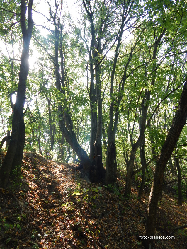 Остатки древнего городища.