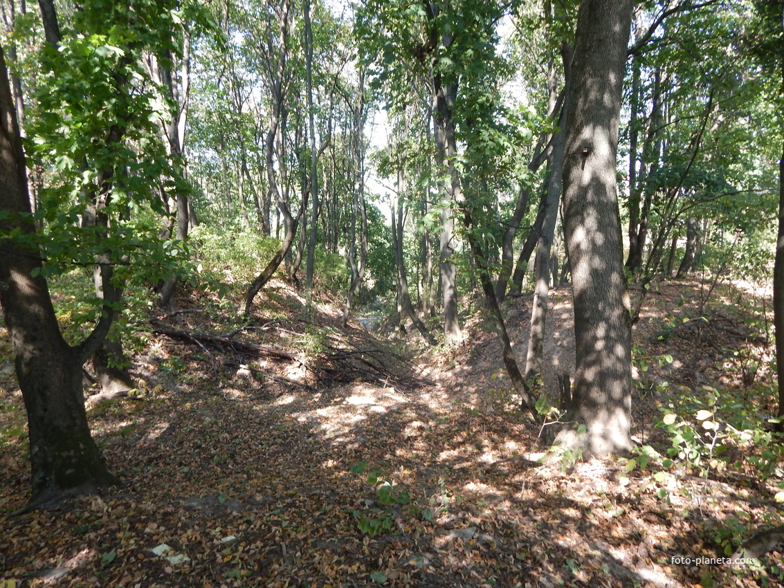 Остатки древнего городища.