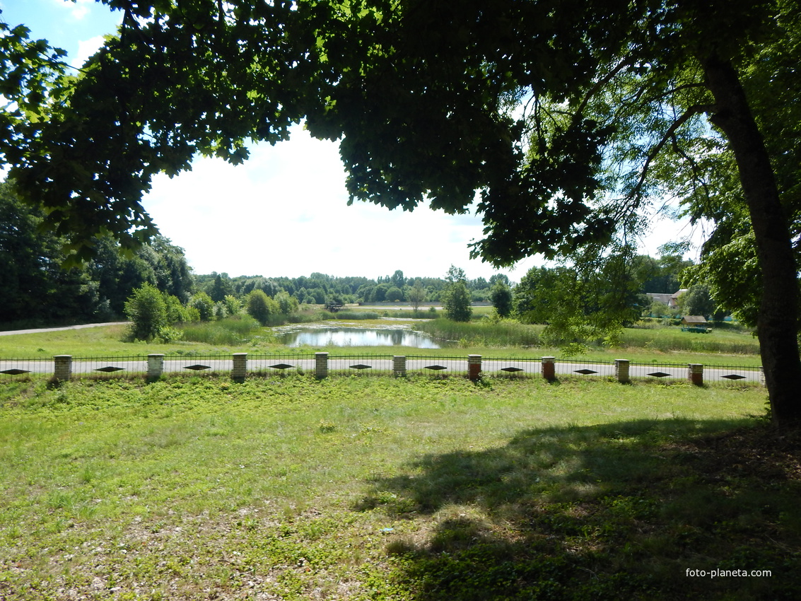 Вид с усадебного парка на реку Щара.
