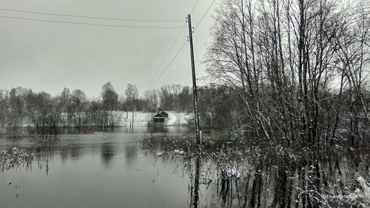 разлив реки в ноябре 2019 года в д. Новинка