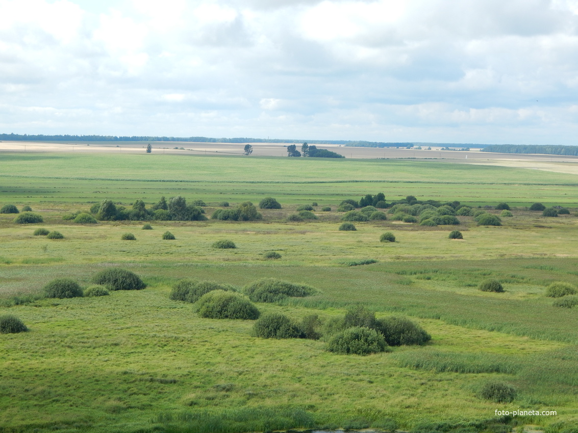 Вид с верха Каменецкой вежы на окружающие поля.
