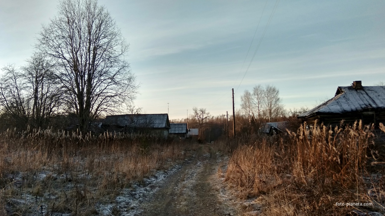 улица в д. Бренчиха