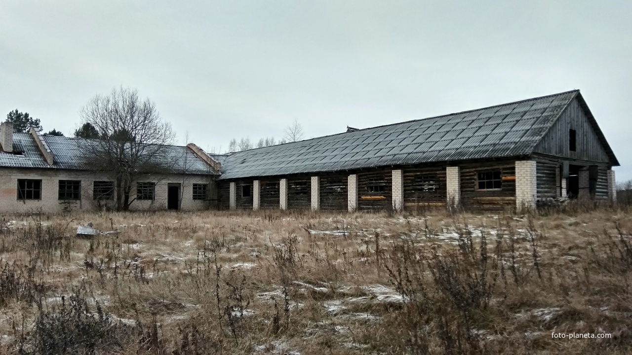 старая ферма в д. Крутец