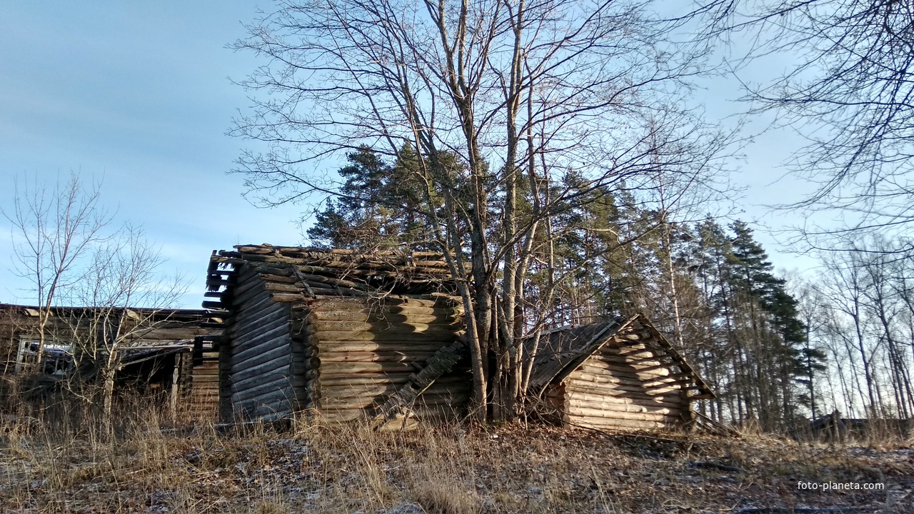 разрушенный дом в д. Малая Дубровочка