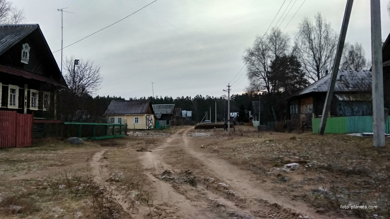 улица в д. Перговищи