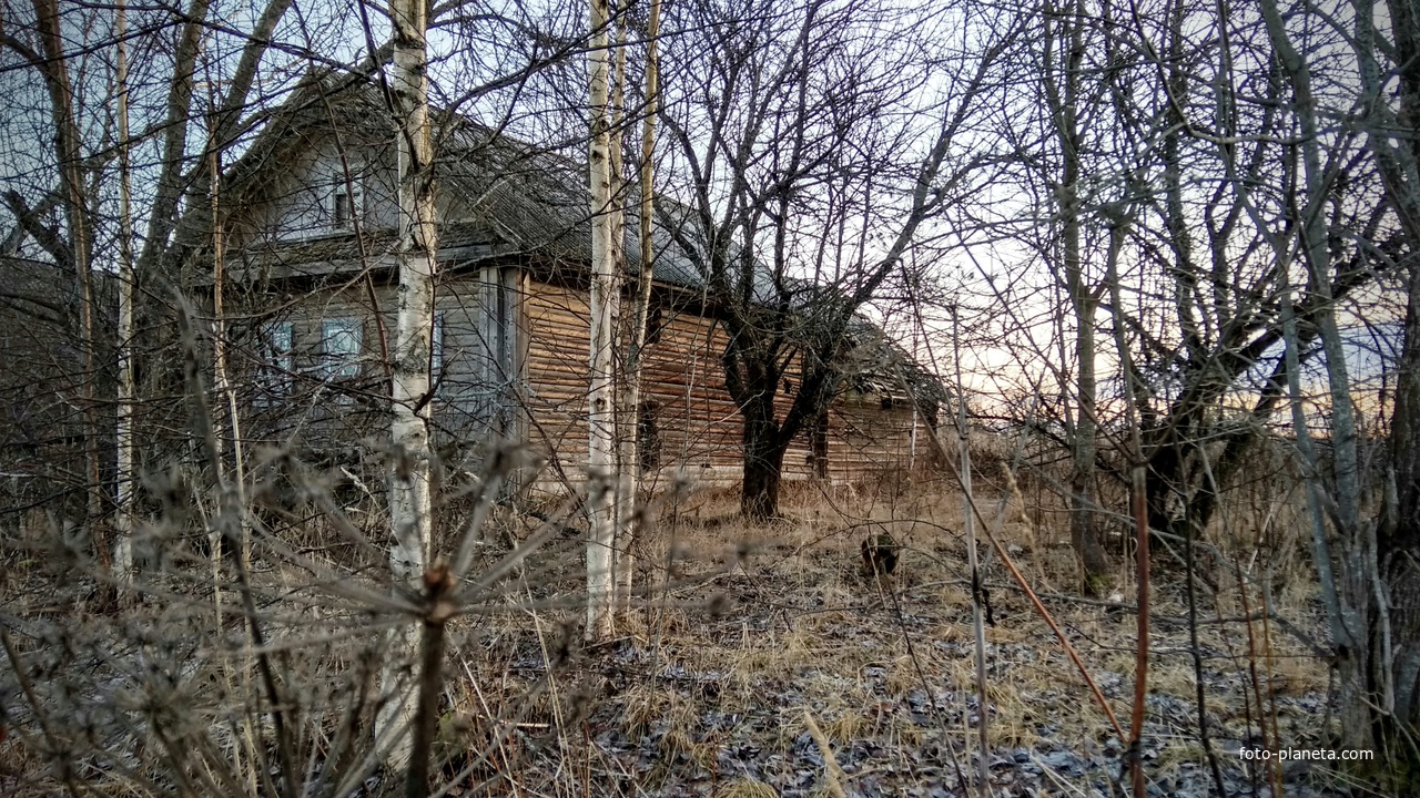 нежилой дом в д. Возгриха