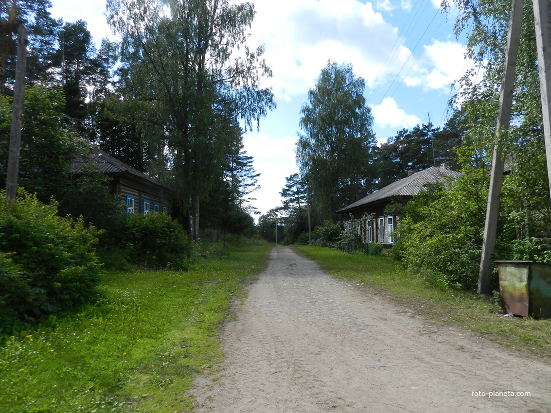 Деревня Ерёмино,Пестовского района, Новгородской области. Бывшие больничные  дома. | Еремино | Фотопланета