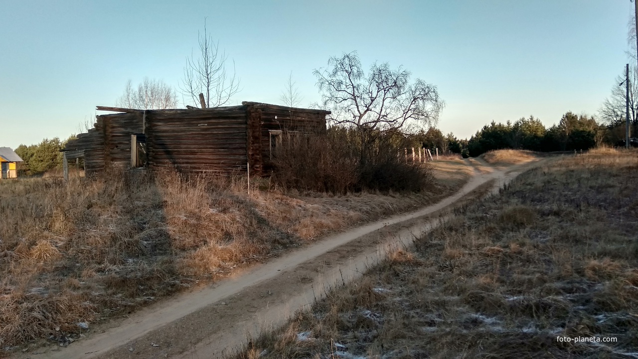 улица в д. Куреваниха