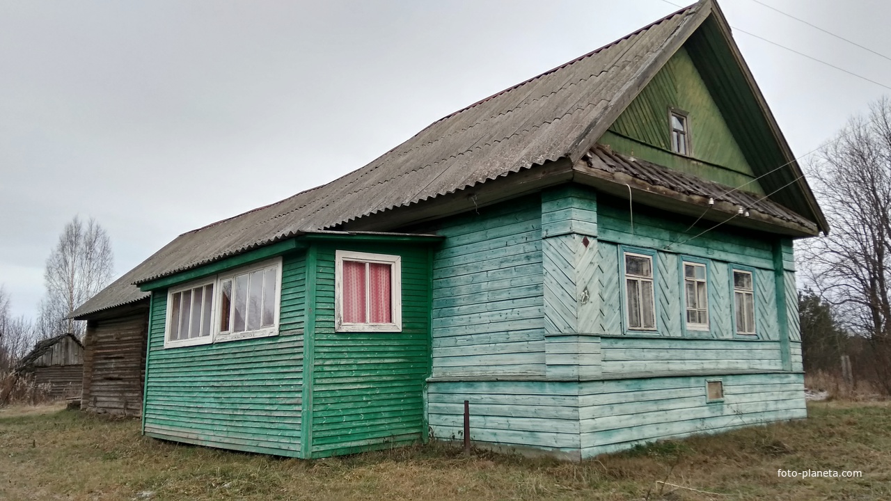 дом в д. Лухнево