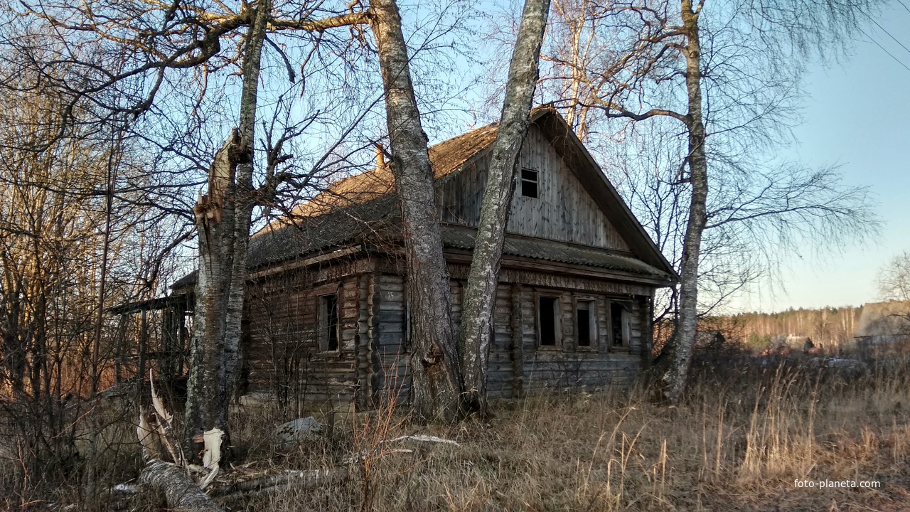 нежилой дом в д. Старое Квасово | Устюженский район | Фотопланета