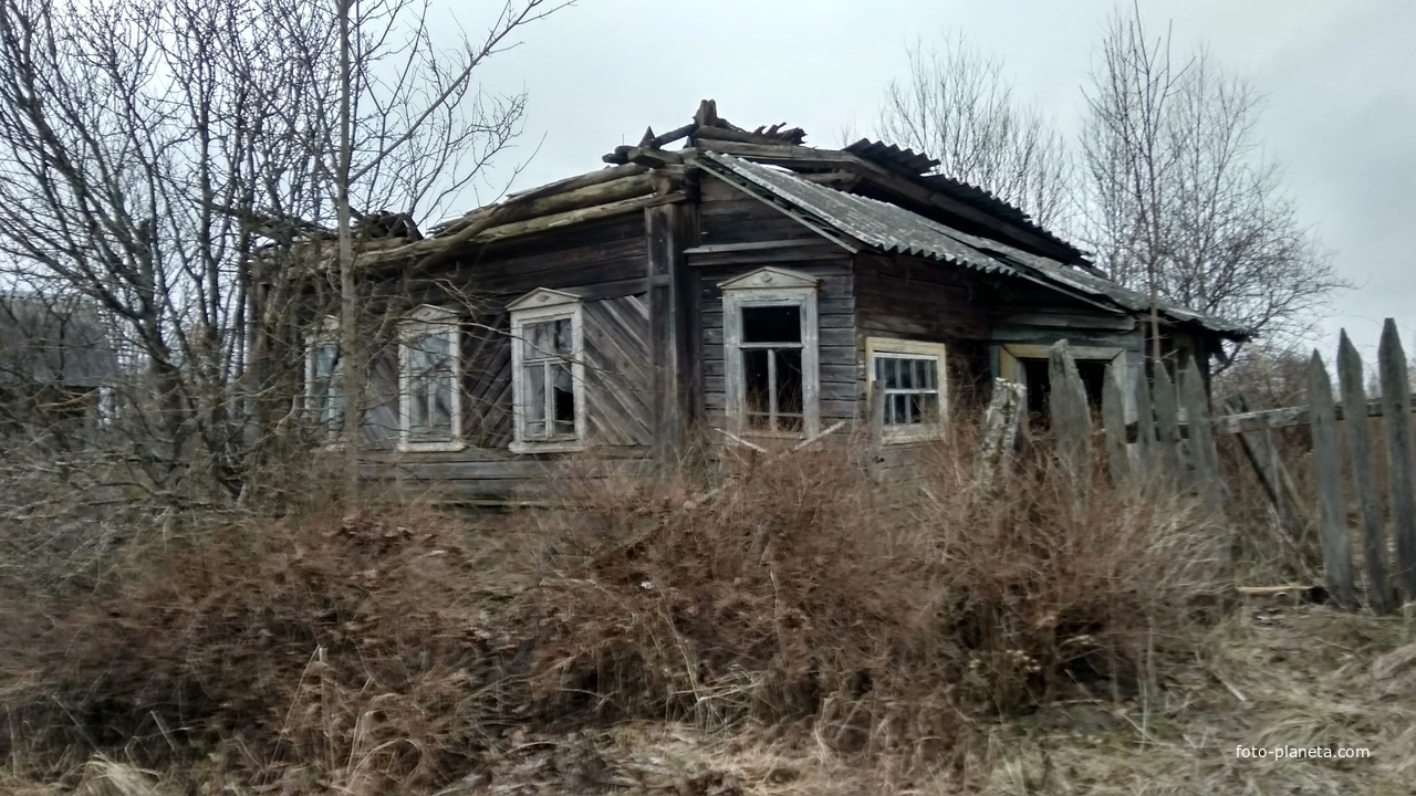 разрушенный дом в д. Новинки