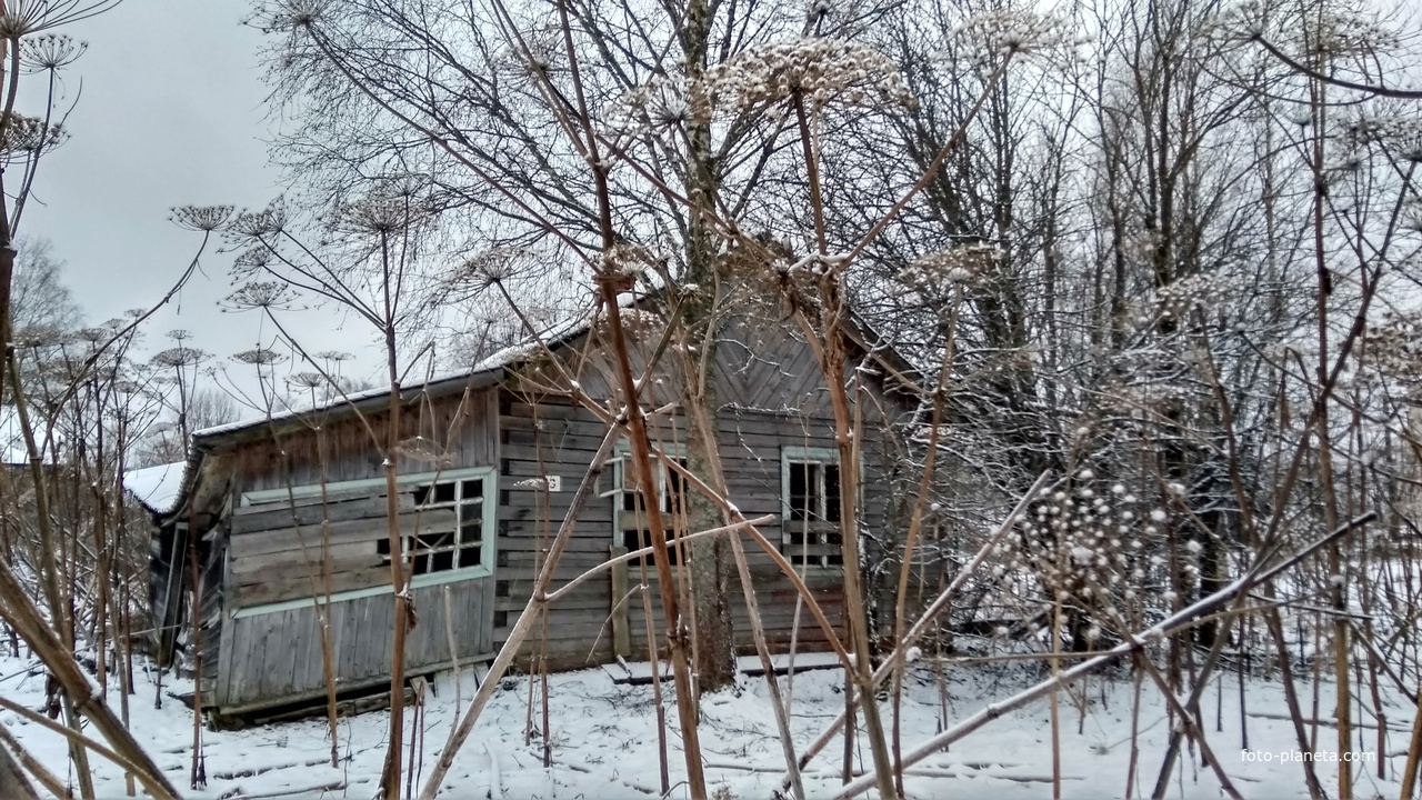 заброшенный дом в д. Расторопово